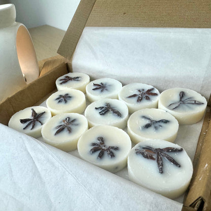 Winter Spices Wax Melts