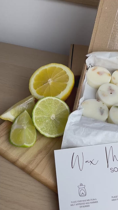 Zesty Collection Wax Melts